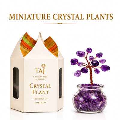 Miniature Crystal Plants